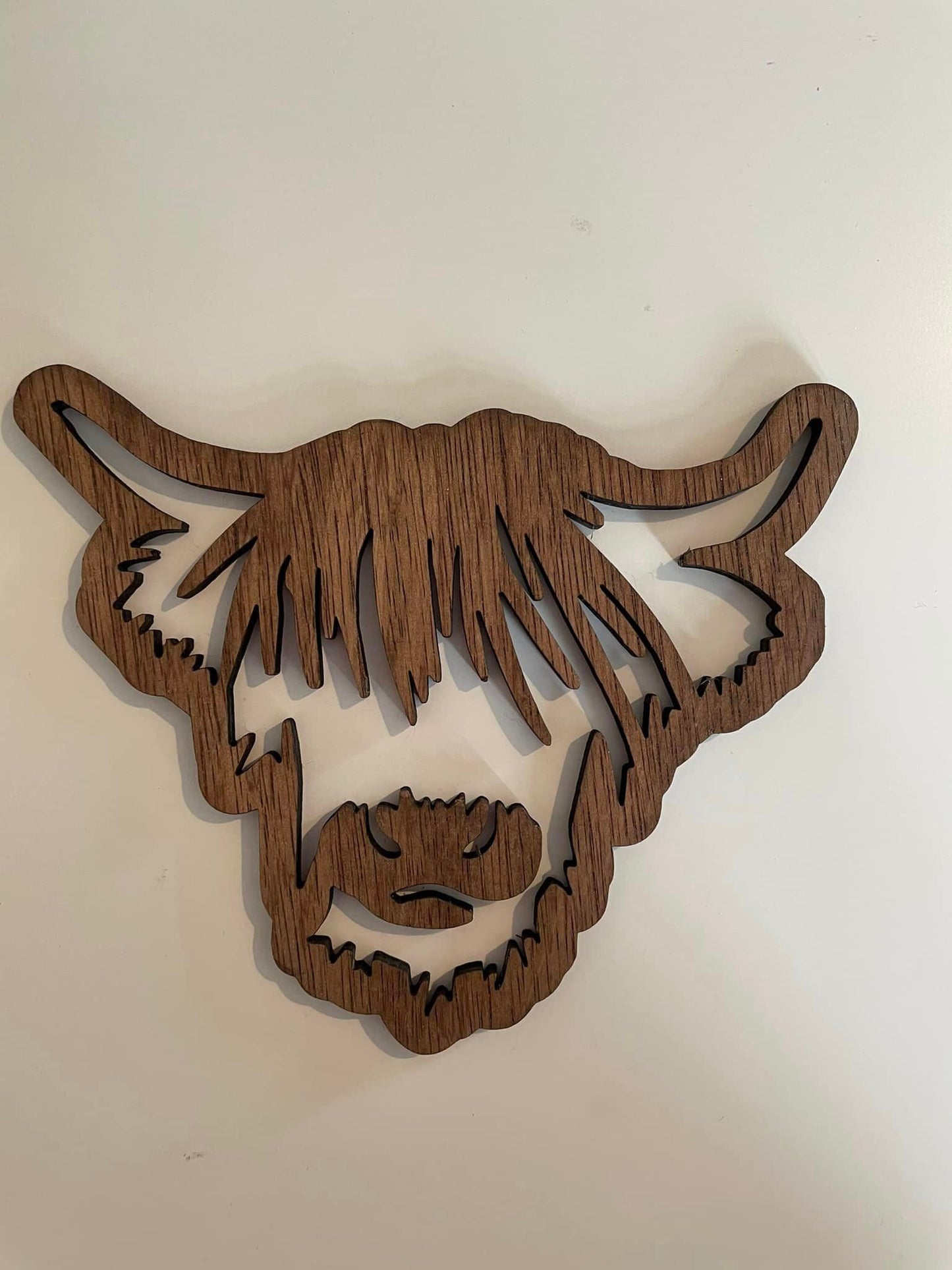 Scottish Highland Cow Coaster